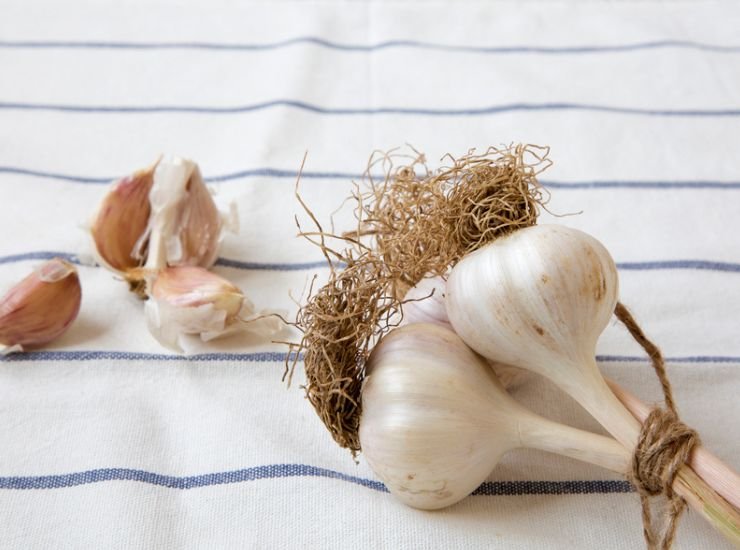 Bulbi d'aglio su canovaccio di stoffa 