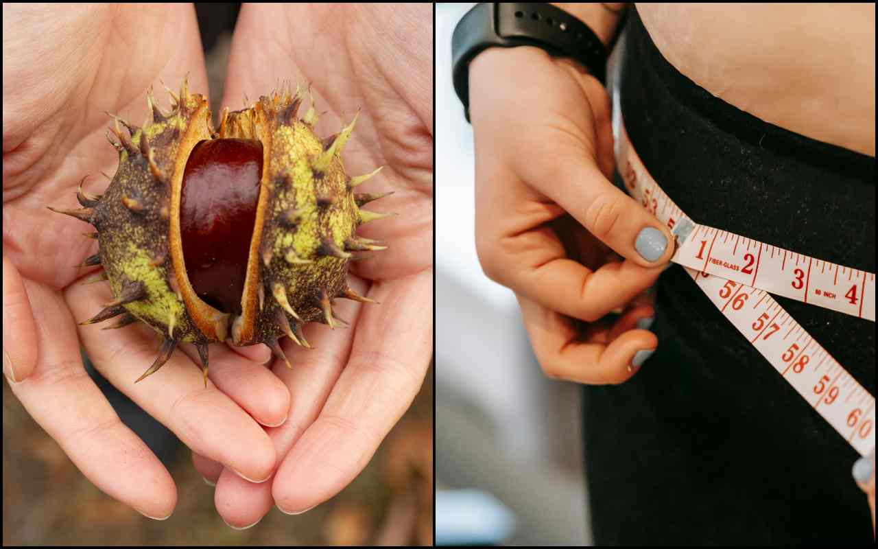 Le castagne non fanno ingrassare