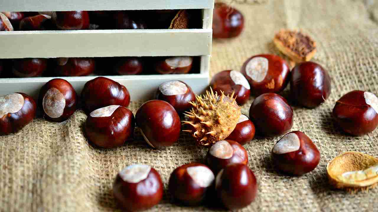 castagne