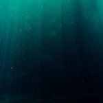 Avvistati due mostri marini nell’Oceano indiano: la specie sconosciuta abita gli abissi a 6300 metri di profondità