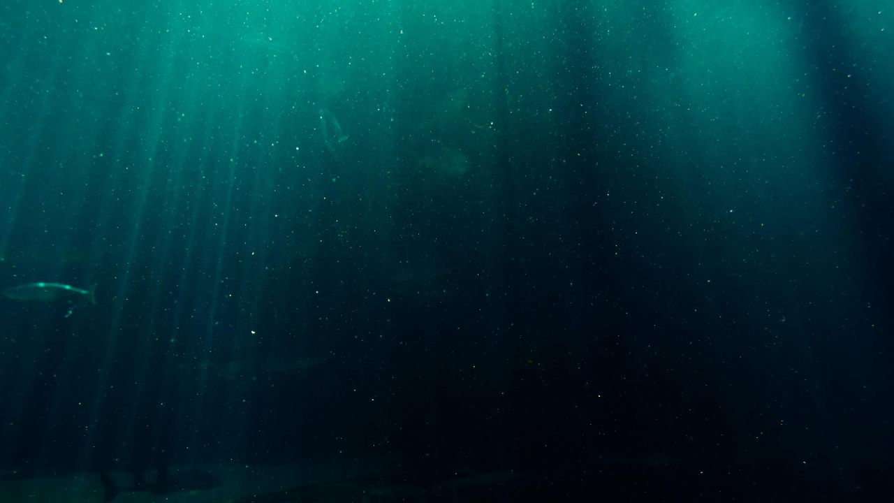 Profondità marine (pexels.com) - ilcorrierino.com
