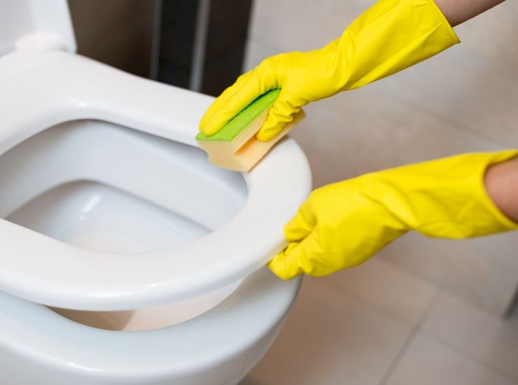 Pulizia del WC
