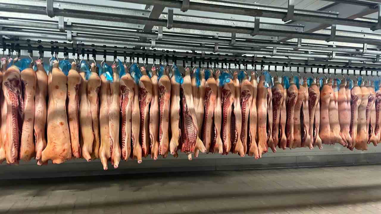 Scopri che carne evitare di comprare