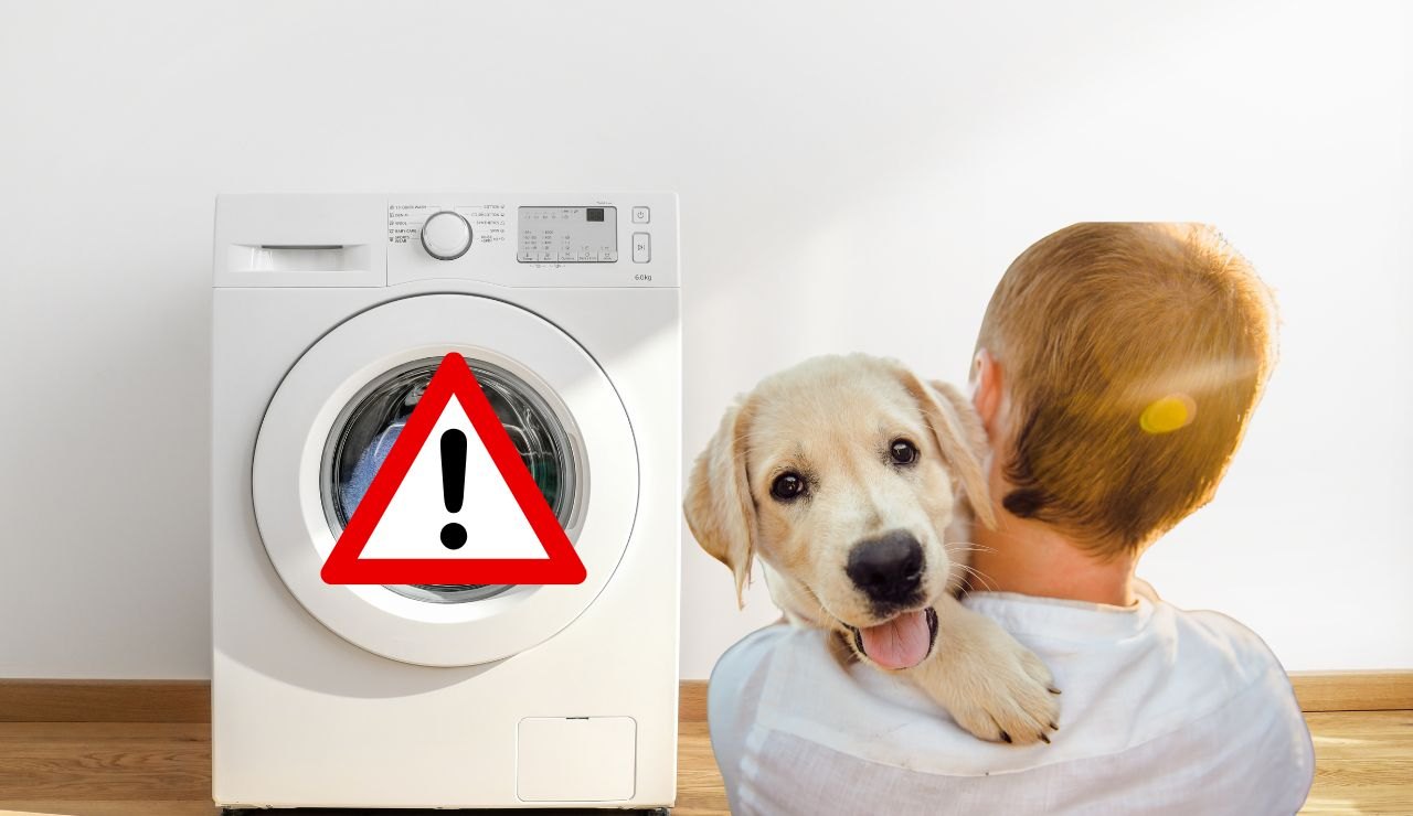Pericolo lavatrice per bambini e animali domestici