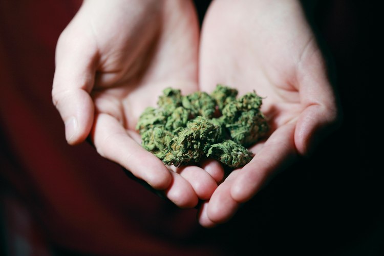 Al via la legalizzazione