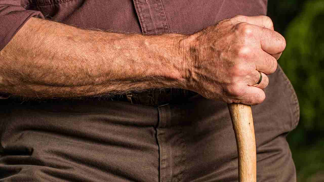 pensioni anticipate