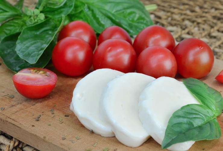 mozzarella di bufala dop