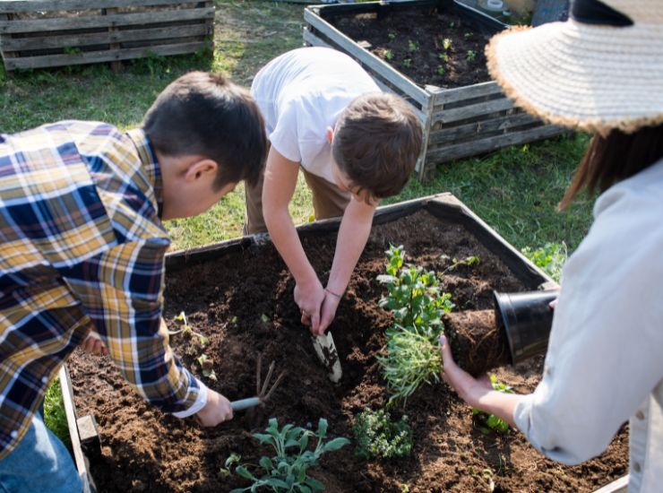 L'utilità delle bucce di cetriolo in giardino