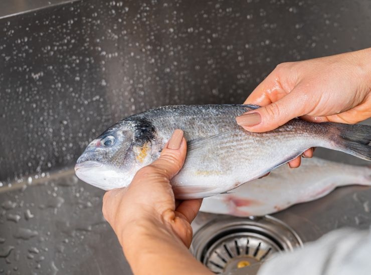 Preparare il pesce