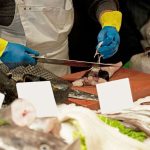 Cucinare il Pesce: come pulirlo e lavarlo correttamente prima della cottura