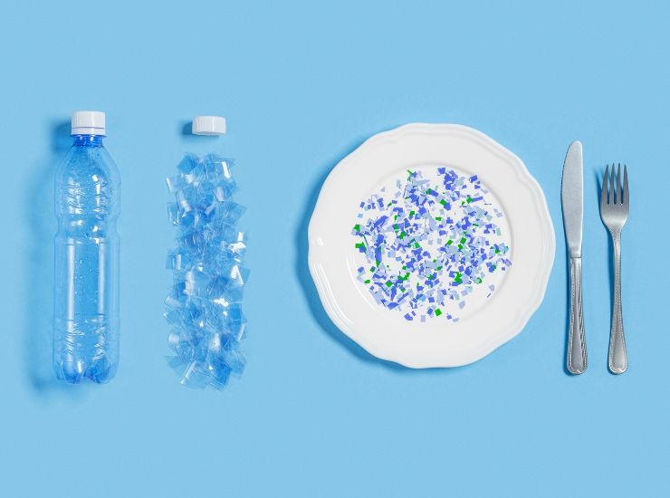 Il problema delle microplastiche