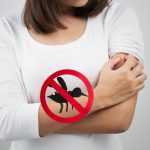 Basta un ingrediente naturale e le Zanzare non entrano in casa: stop ai repellenti tossici