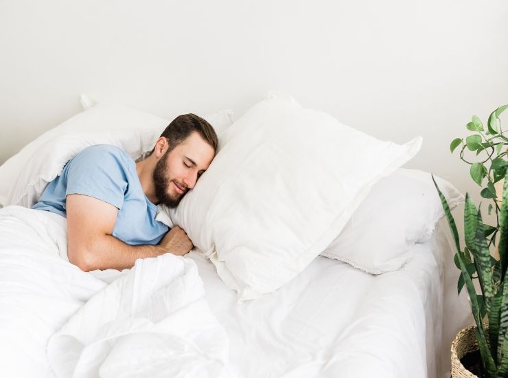 La pianta per la camera da letto
